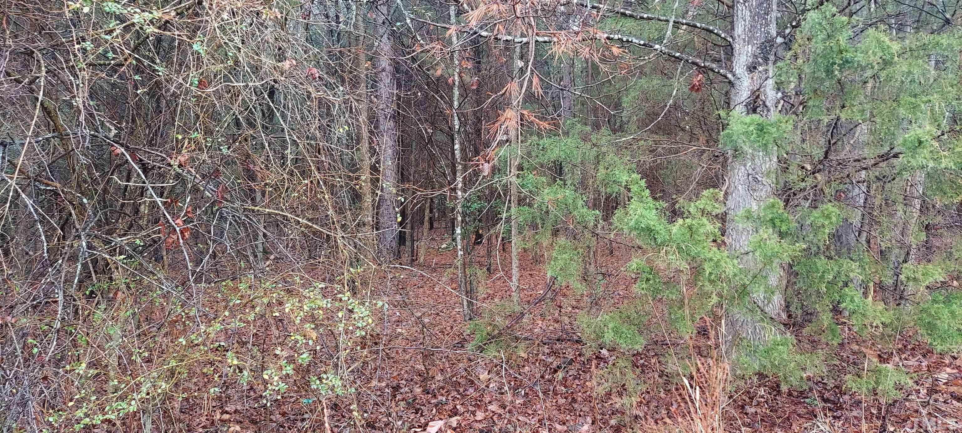 0 Miller Road Asheboro, NC 27205 - Photo 5 of 8 Gallery Image 5