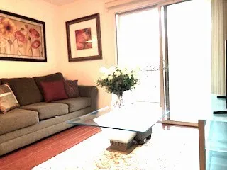 a living room with furniture and a potted plant