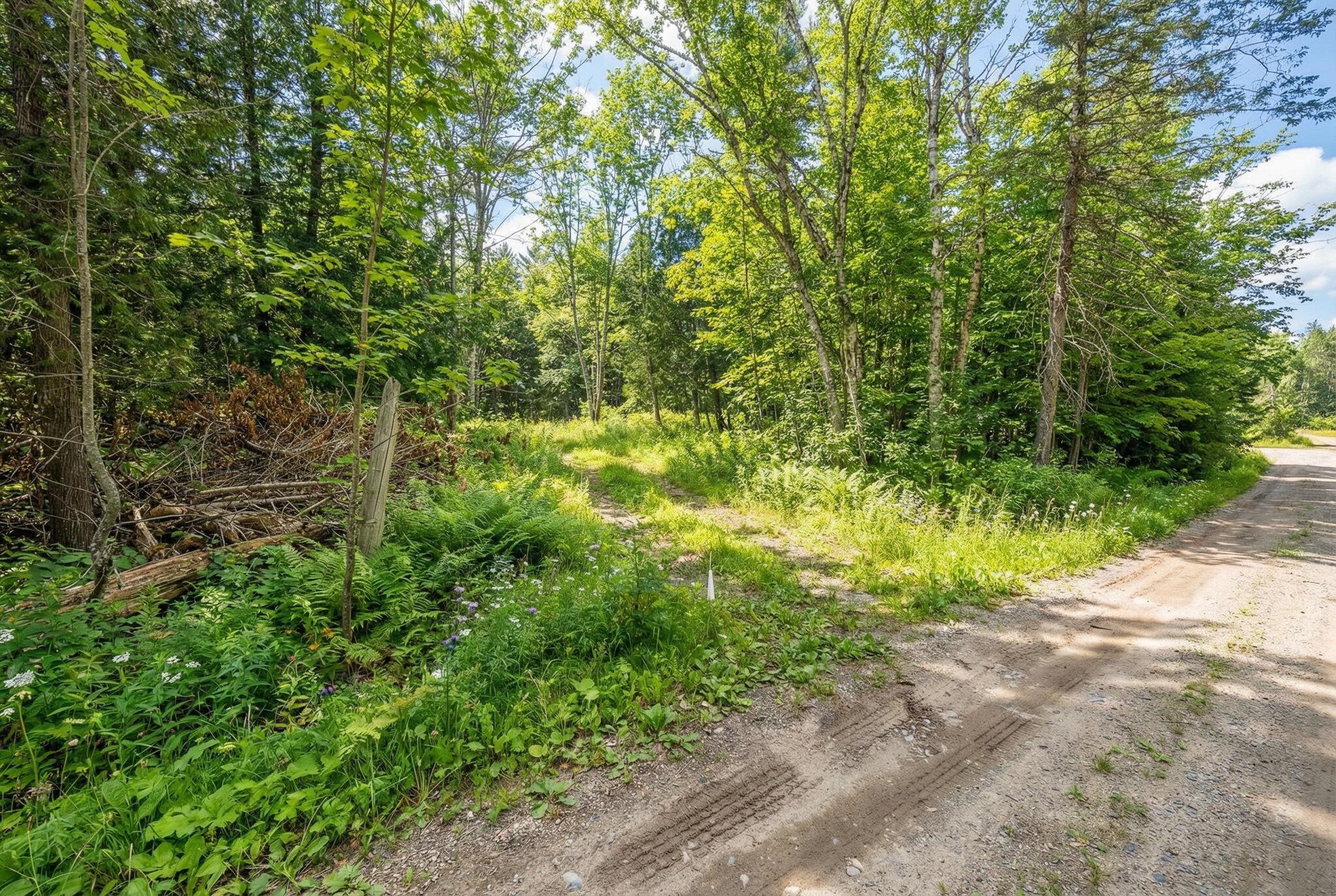 9-6 Page Road Etna, ME 04434 - Photo 4 of 21