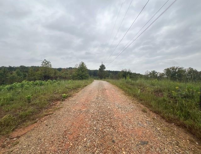 1 Highway 61 Villa Rica, GA 30180 - Photo 3 of 5 a view of a lake with mountain in the background