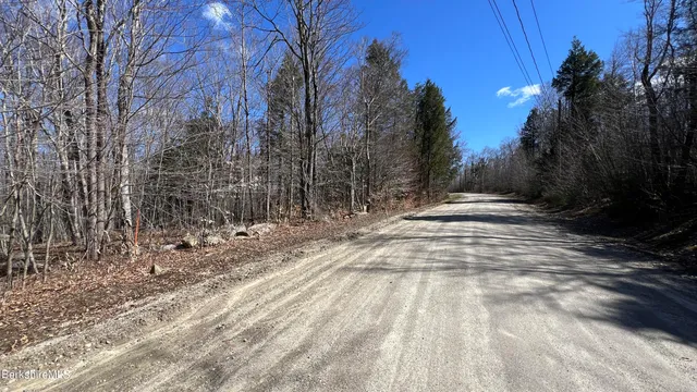 a view of backyard with green space