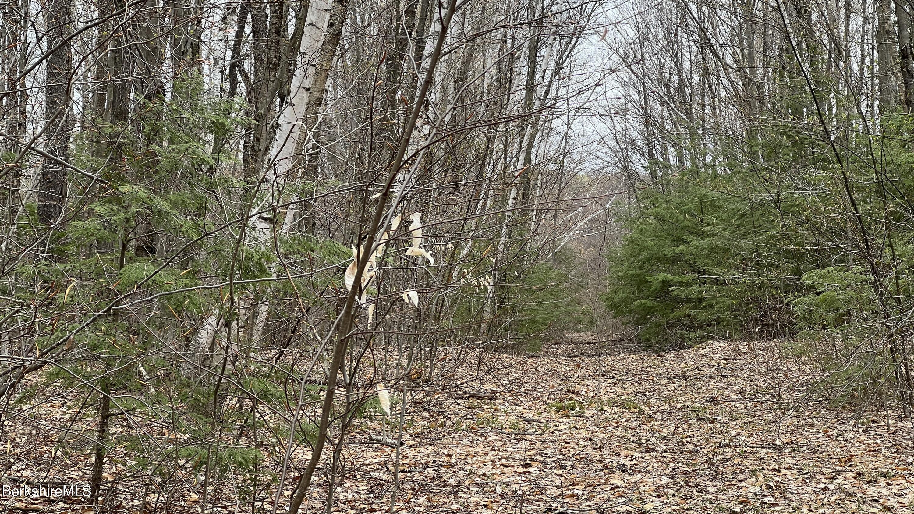 Lot19 Skyline Ridge Road Becket, MA 01223 - Photo 6 of 10 a backyard of a house with lots of green space