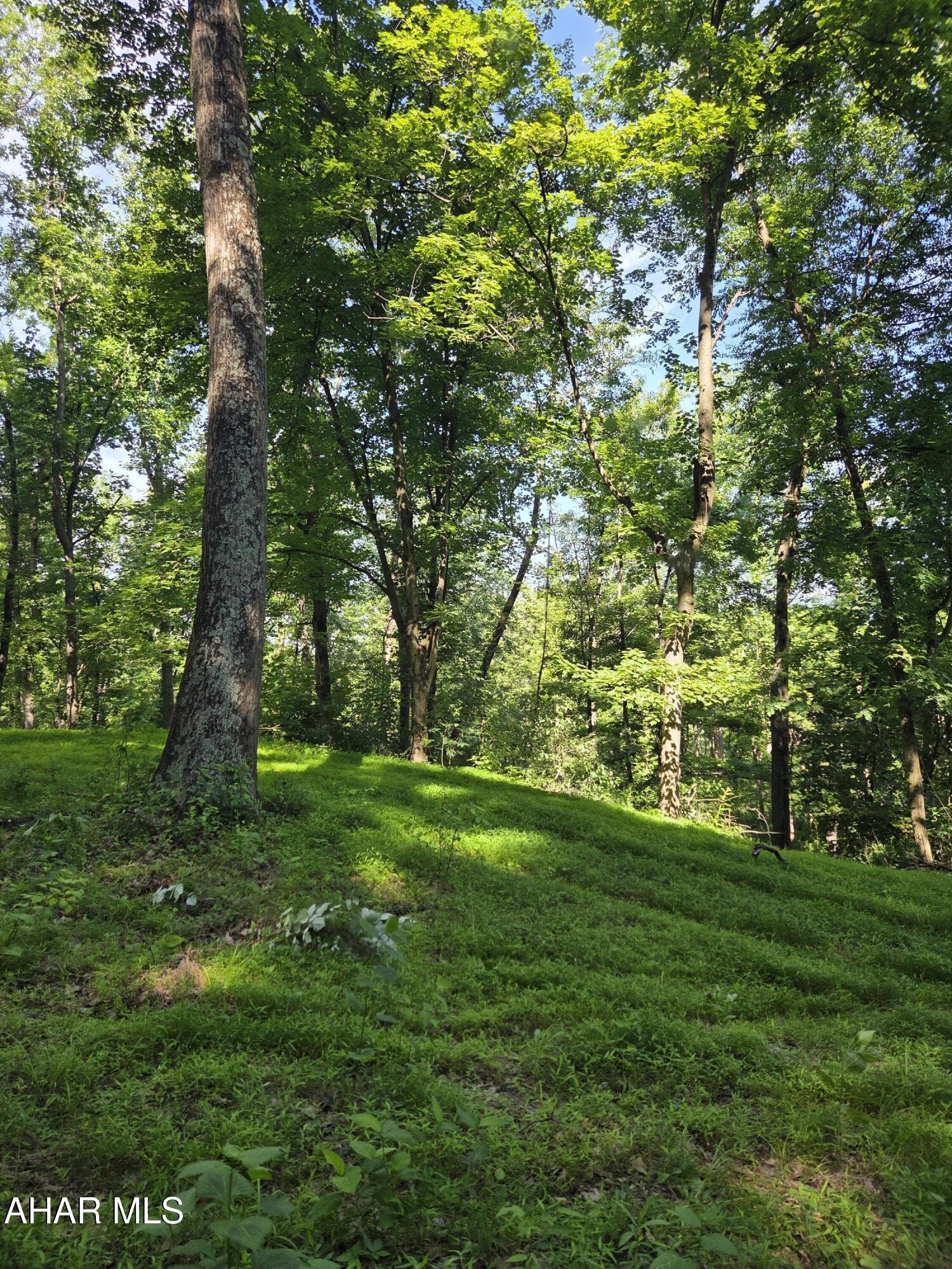 0 Sugar Ridge Road McVeytown, PA 17051 - Photo 17 of 19