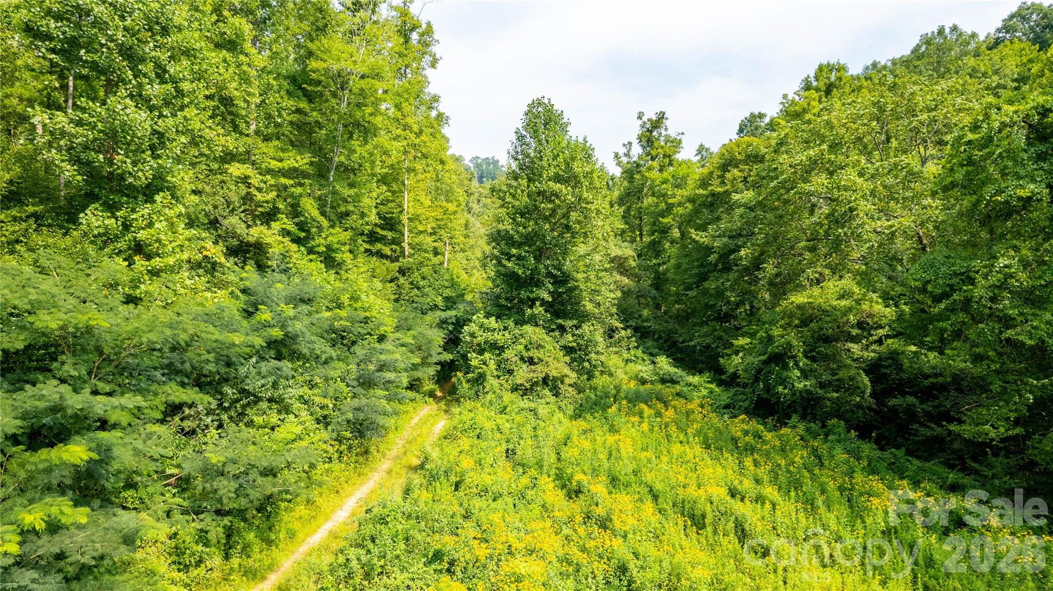 Tbd Tbd Collettsville Road, Unit 13 Lenoir, NC 28645 - Photo 13 of 24