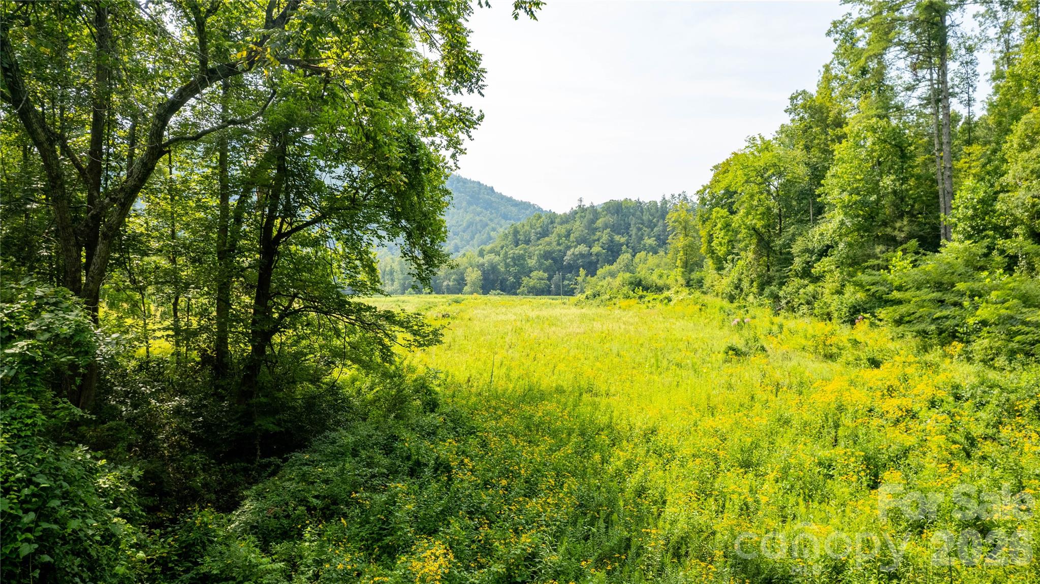 Tbd Tbd Collettsville Road, Unit 13 Lenoir, NC 28645 - Photo 4 of 24