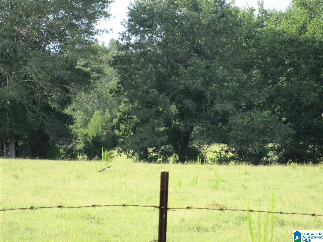 791-2 Dry Valley Road Lincoln, AL 35096 - Photo 29 of 50 Gallery Image 29