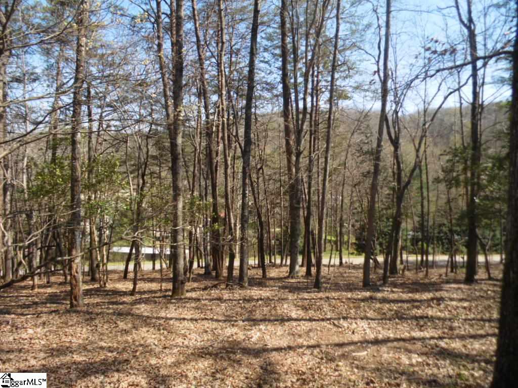 108 Sawmill Road Marietta, SC 29661 - Photo 11 of 35