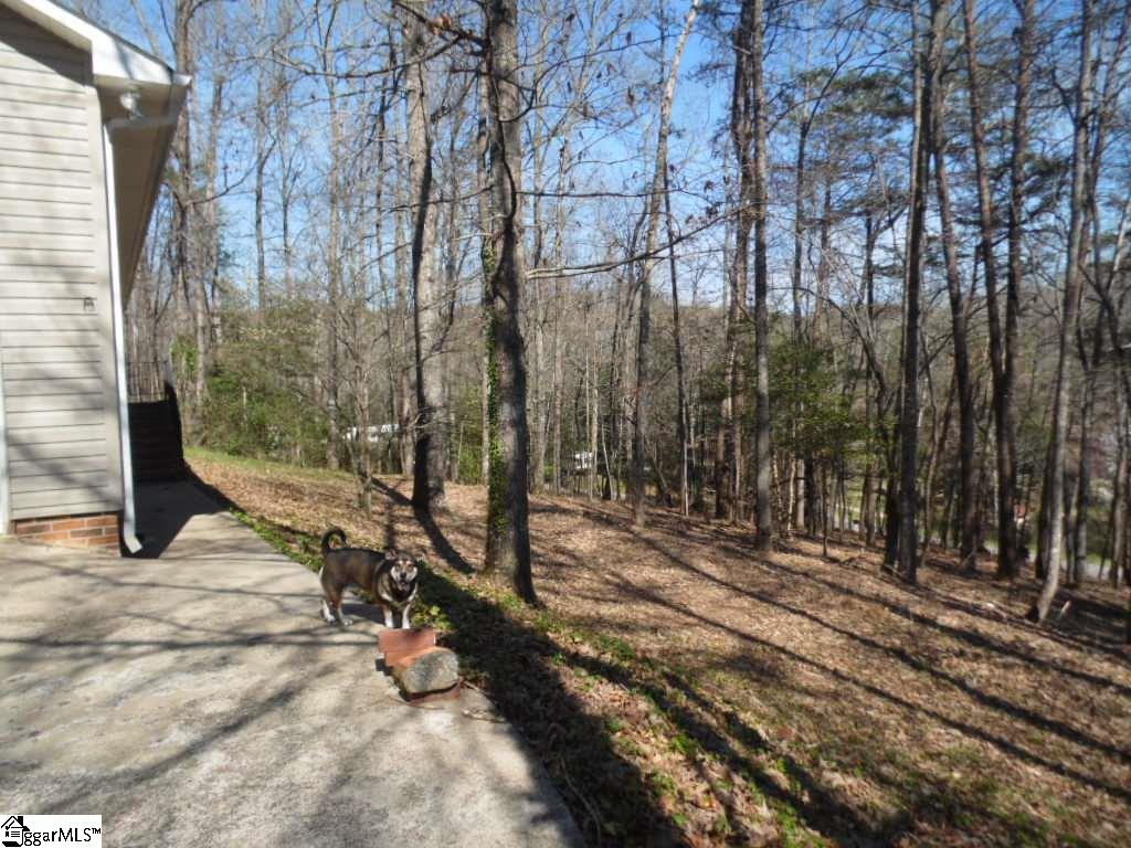 108 Sawmill Road Marietta, SC 29661 - Photo 10 of 35