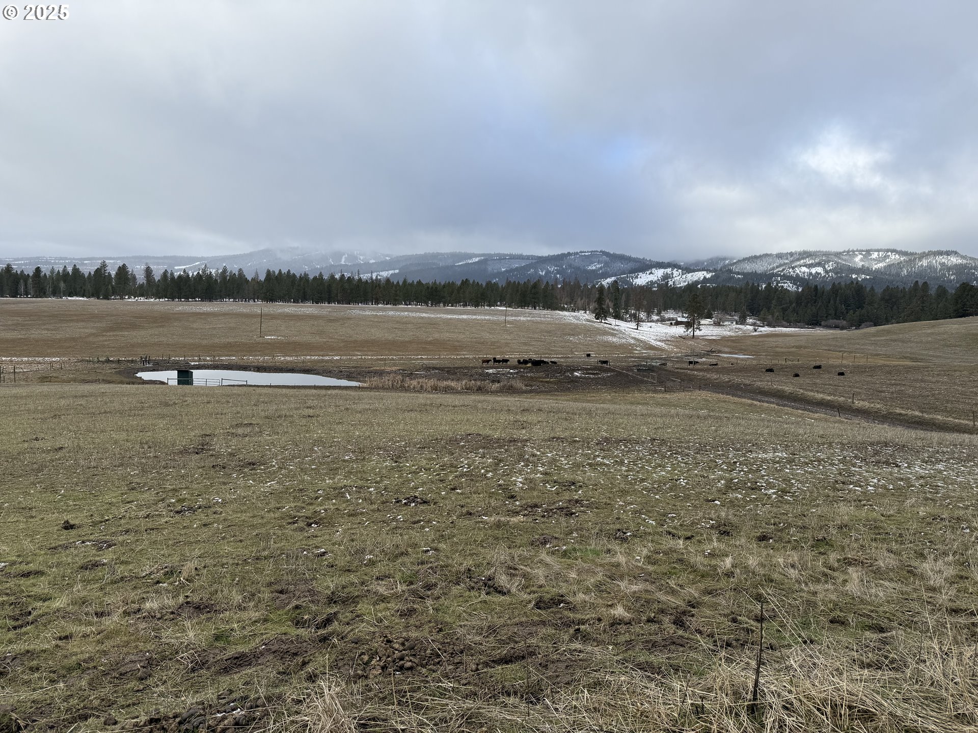76984 Palmer Junction Road Elgin, OR 97827 - Photo 23 of 44 Gallery Image 23