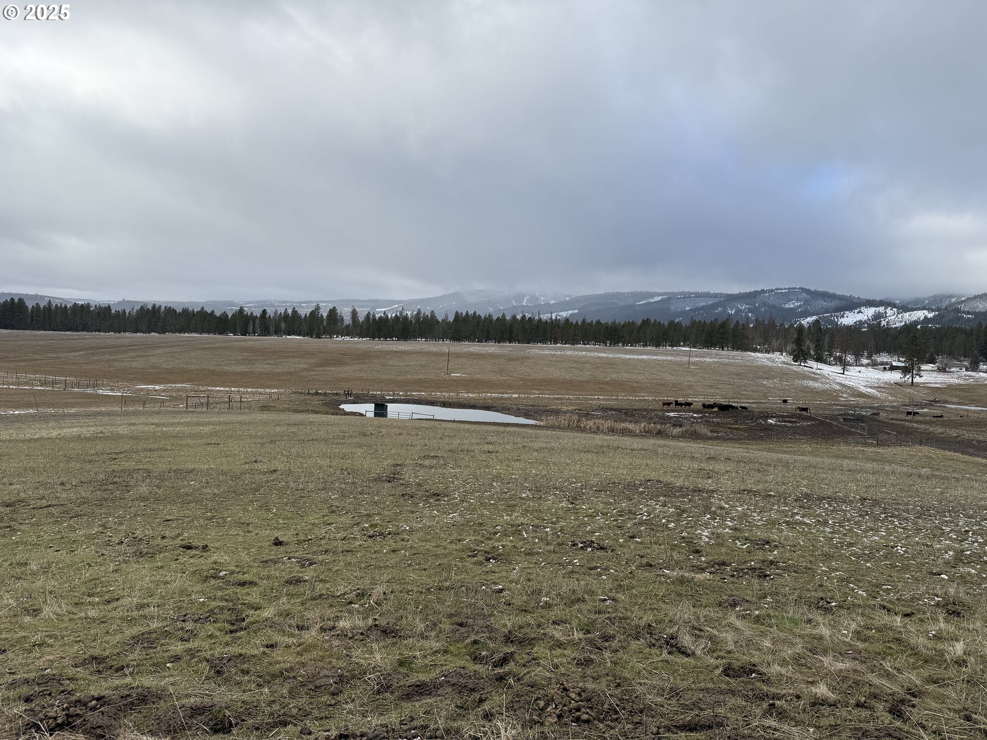76984 Palmer Junction Road Elgin, OR 97827 - Photo 24 of 44 Gallery Image 24