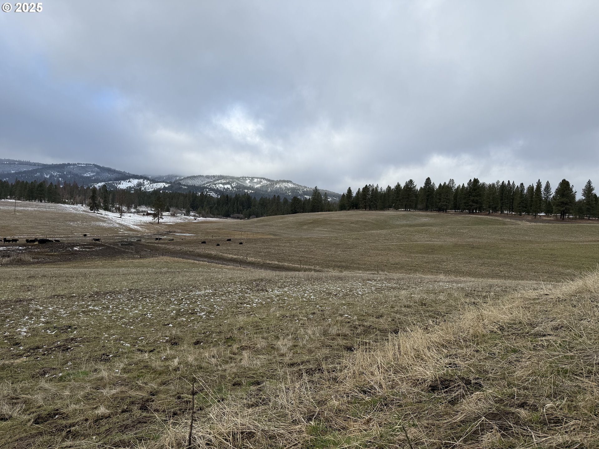 76984 Palmer Junction Road Elgin, OR 97827 - Photo 25 of 44 Gallery Image 25