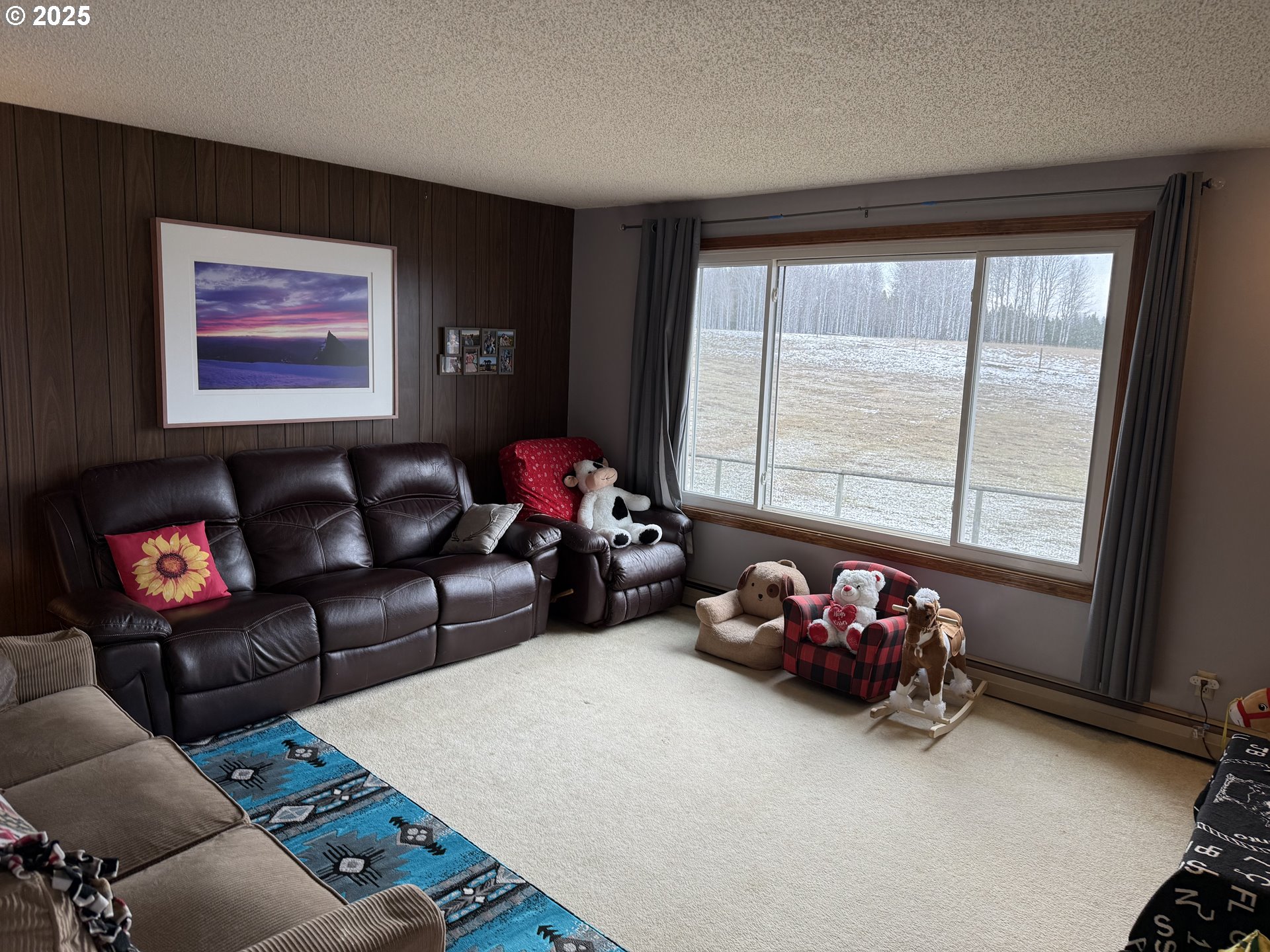 76984 Palmer Junction Road Elgin, OR 97827 - Photo 4 of 44 Gallery Image 4