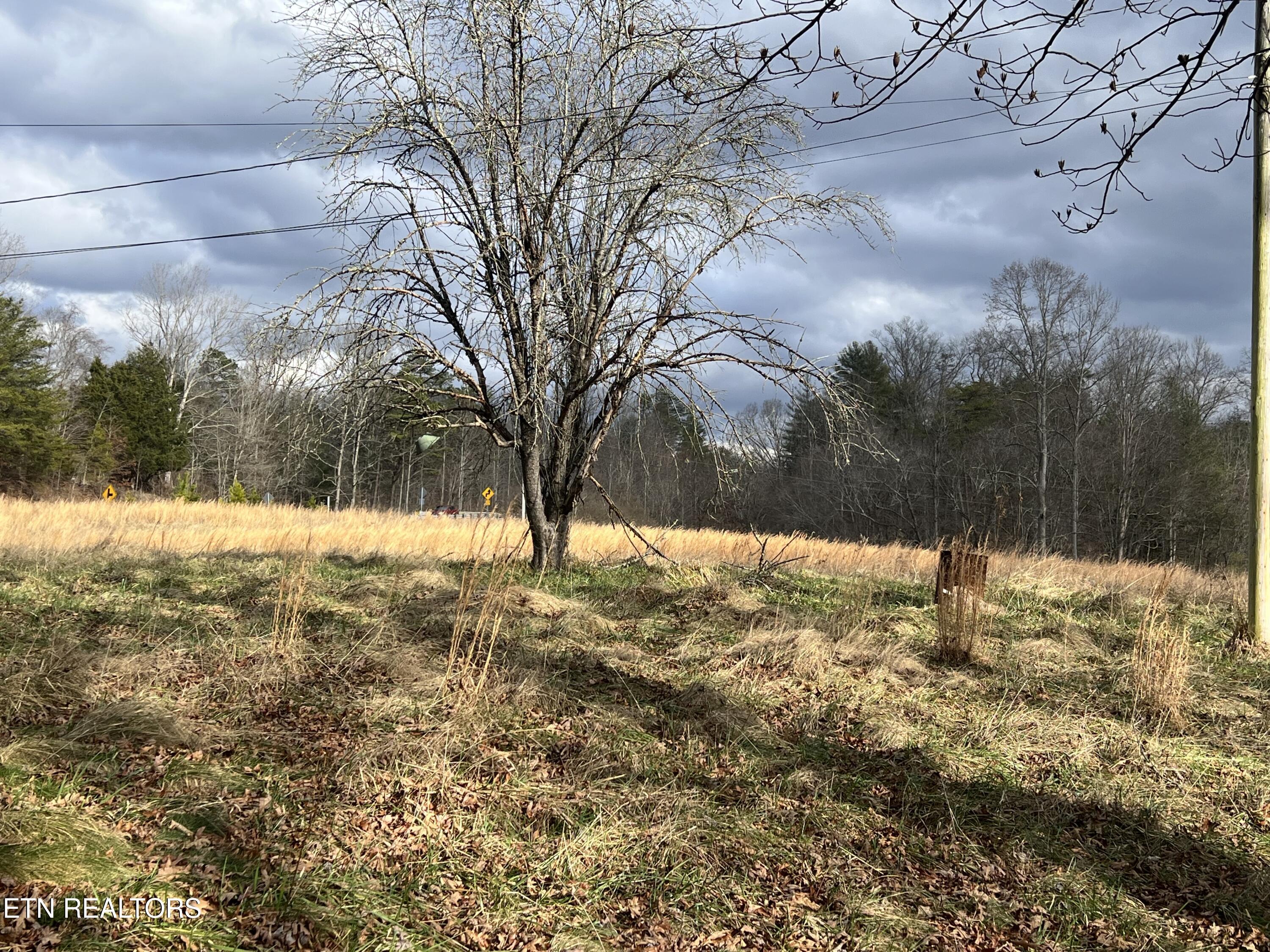 1600 Paint Rock Road Oneida, TN 37841 - Photo 3 of 8 IMG_7715