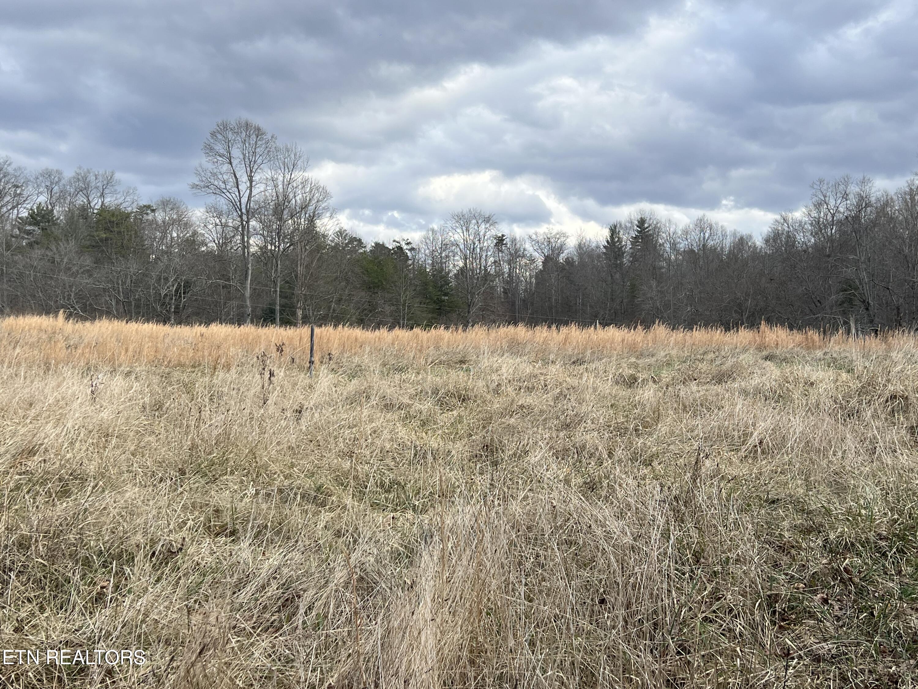 1600 Paint Rock Road Oneida, TN 37841 - Photo 6 of 8 IMG_7712