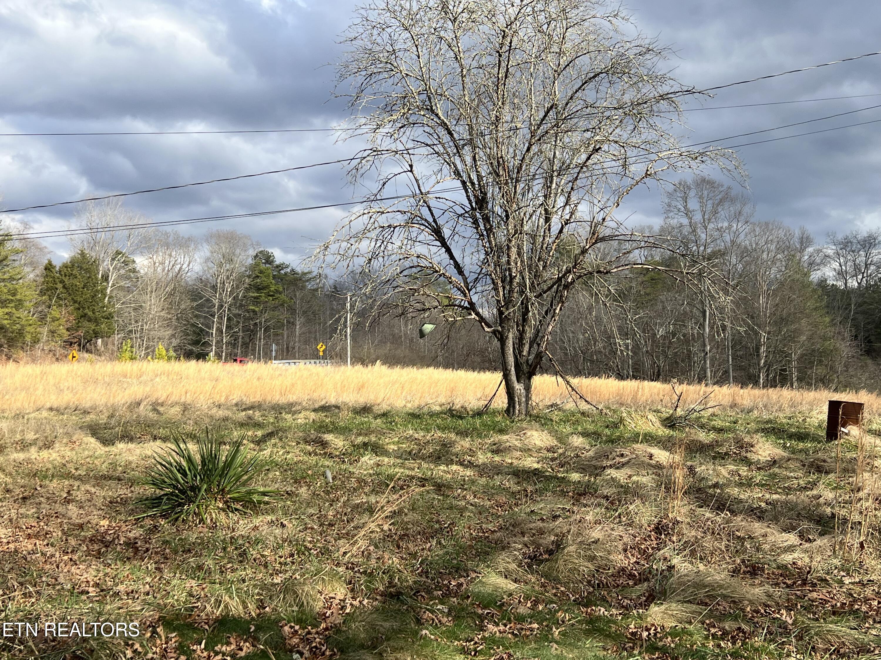 1600 Paint Rock Road Oneida, TN 37841 - Photo 8 of 8 IMG_7717