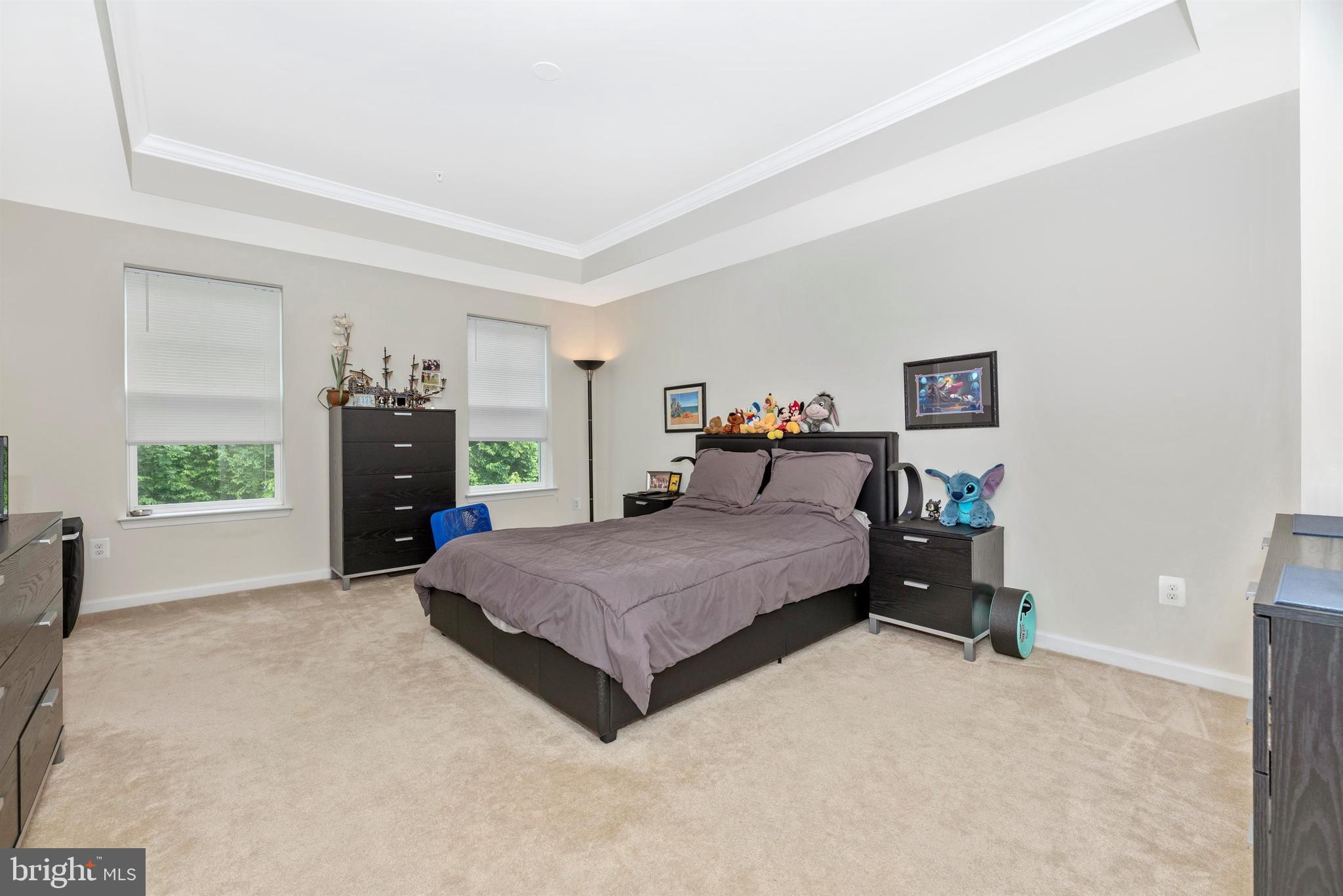 5612 Scott Ridge Place Frederick, MD 21704 - Photo 28 of 54 Gallery Image 28
