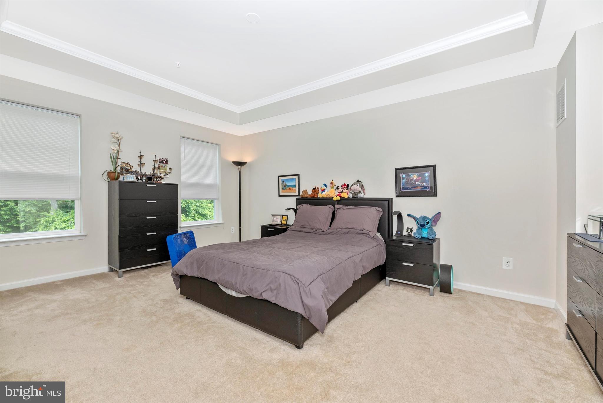 5612 Scott Ridge Place Frederick, MD 21704 - Photo 29 of 54 Gallery Image 29