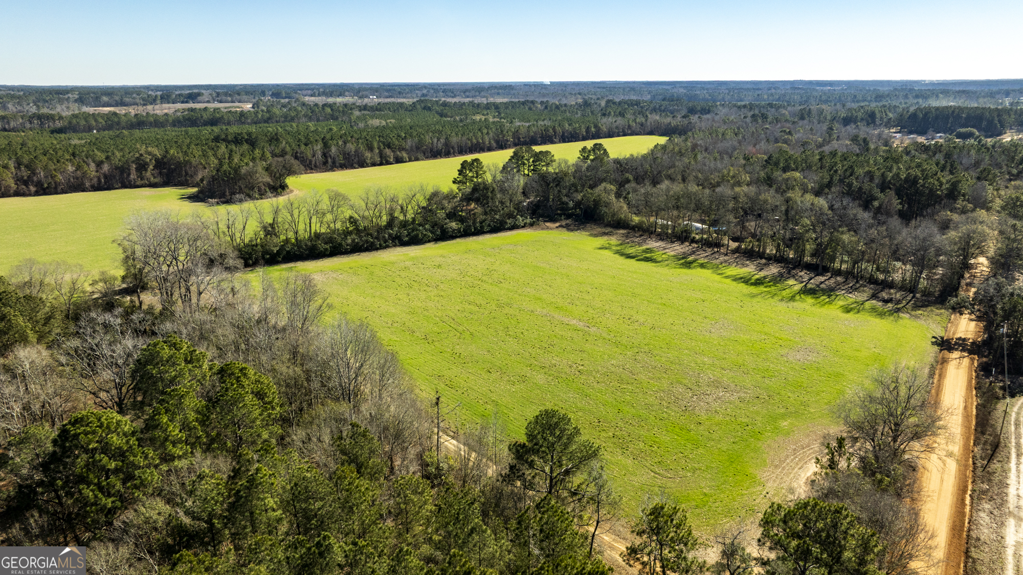 0 Sam Tillman Statesboro, GA 30458 - Photo 12 of 63