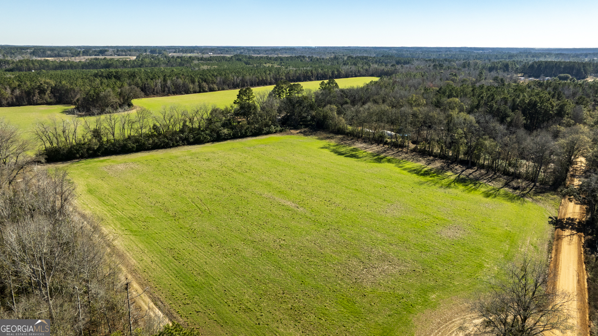 0 Sam Tillman Statesboro, GA 30458 - Photo 13 of 63