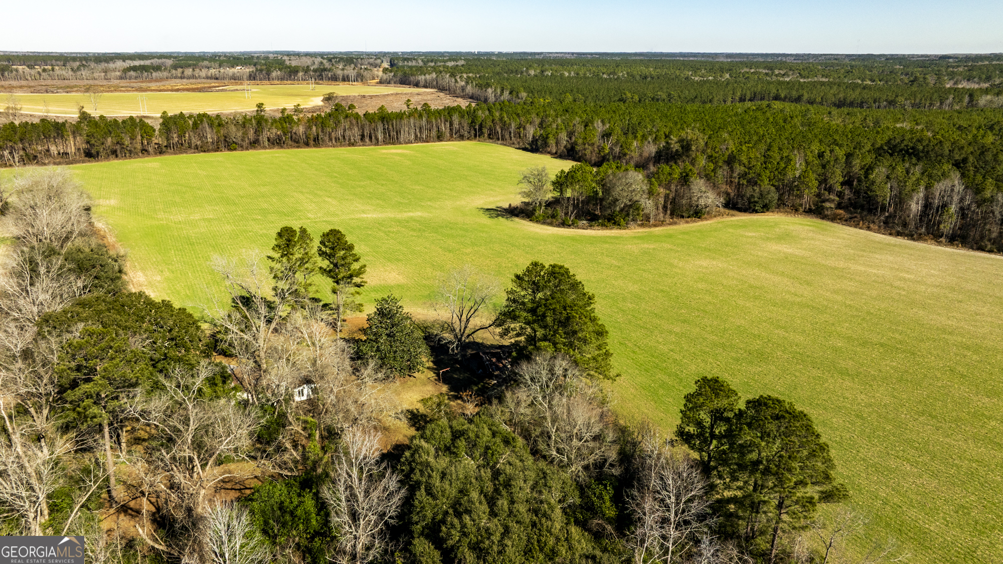 0 Sam Tillman Statesboro, GA 30458 - Photo 15 of 63