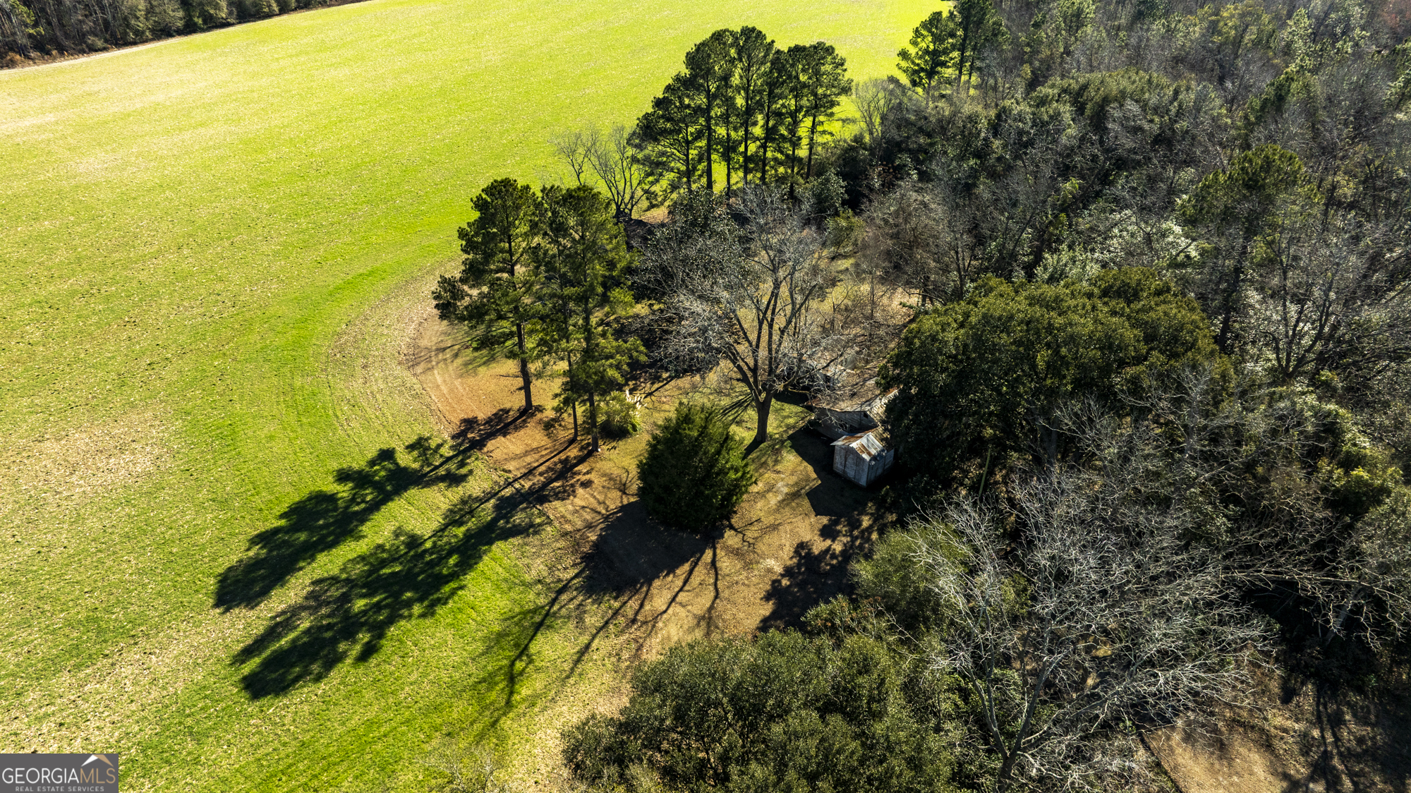 0 Sam Tillman Statesboro, GA 30458 - Photo 19 of 63