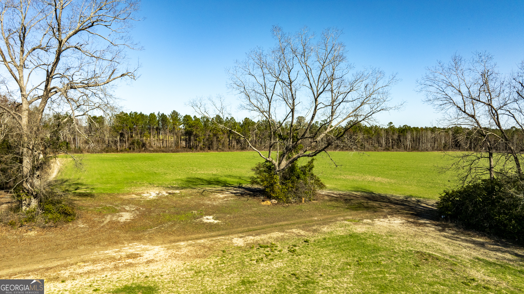 0 Sam Tillman Statesboro, GA 30458 - Photo 22 of 63
