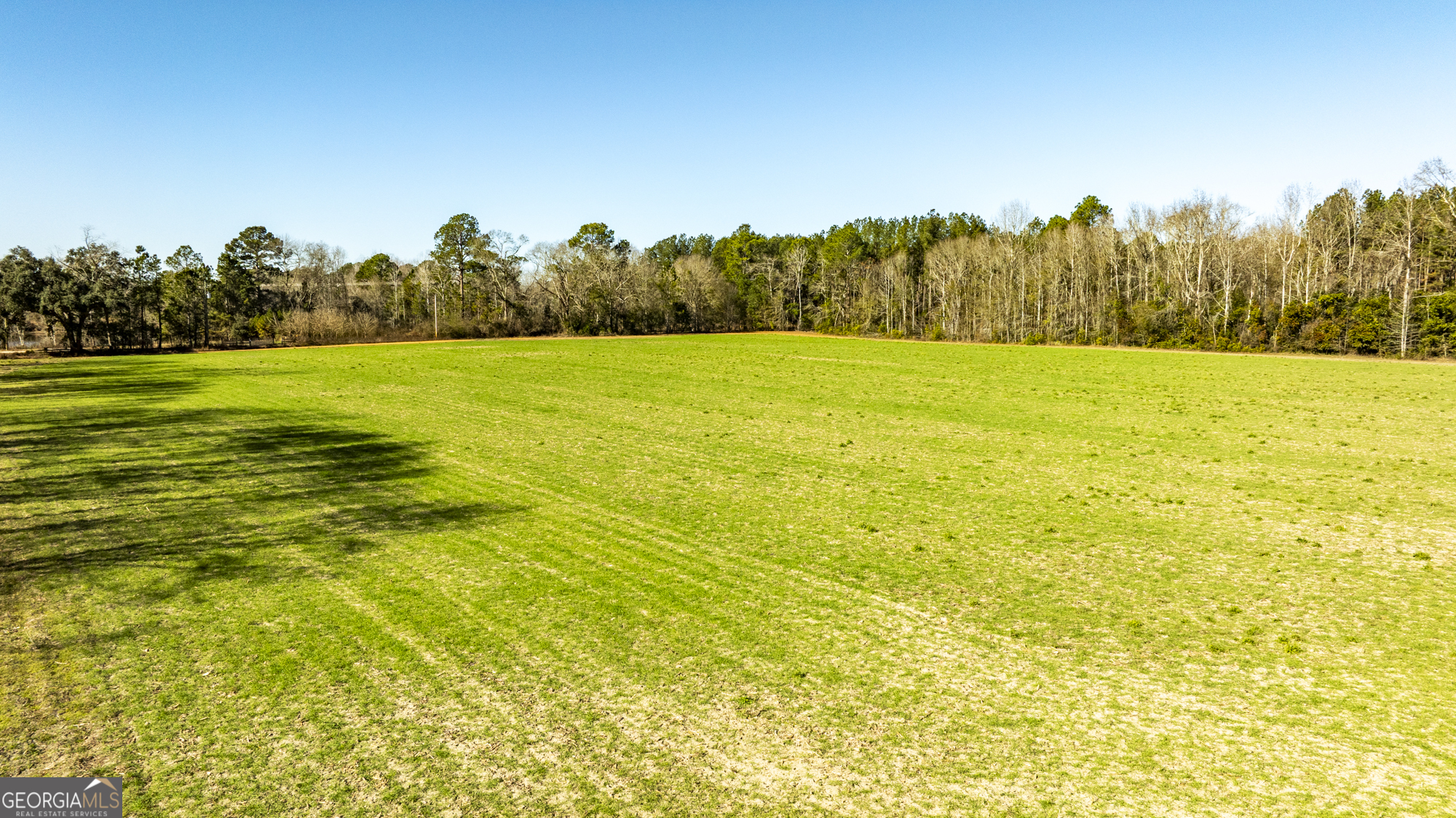 0 Sam Tillman Statesboro, GA 30458 - Photo 23 of 63