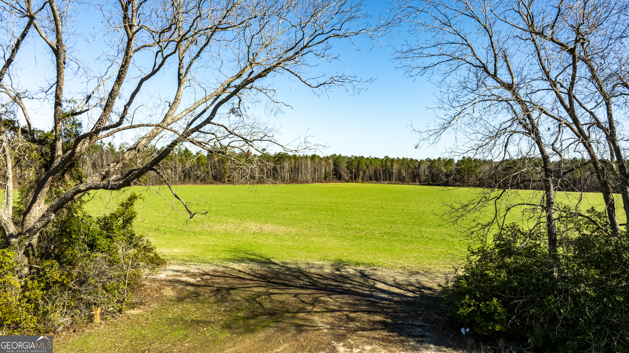 0 Sam Tillman Statesboro, GA 30458 - Photo 24 of 63