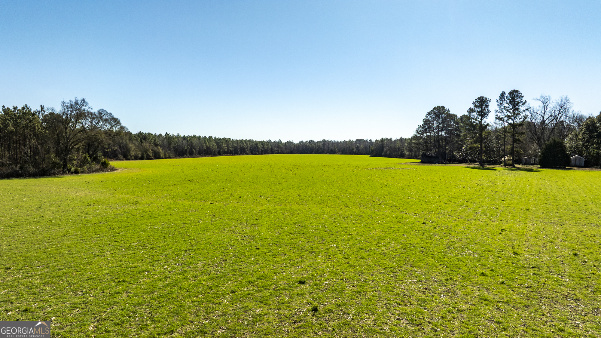 0 Sam Tillman Statesboro, GA 30458 - Photo 25 of 63