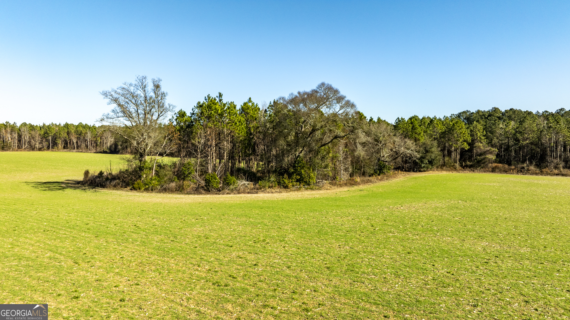 0 Sam Tillman Statesboro, GA 30458 - Photo 28 of 63