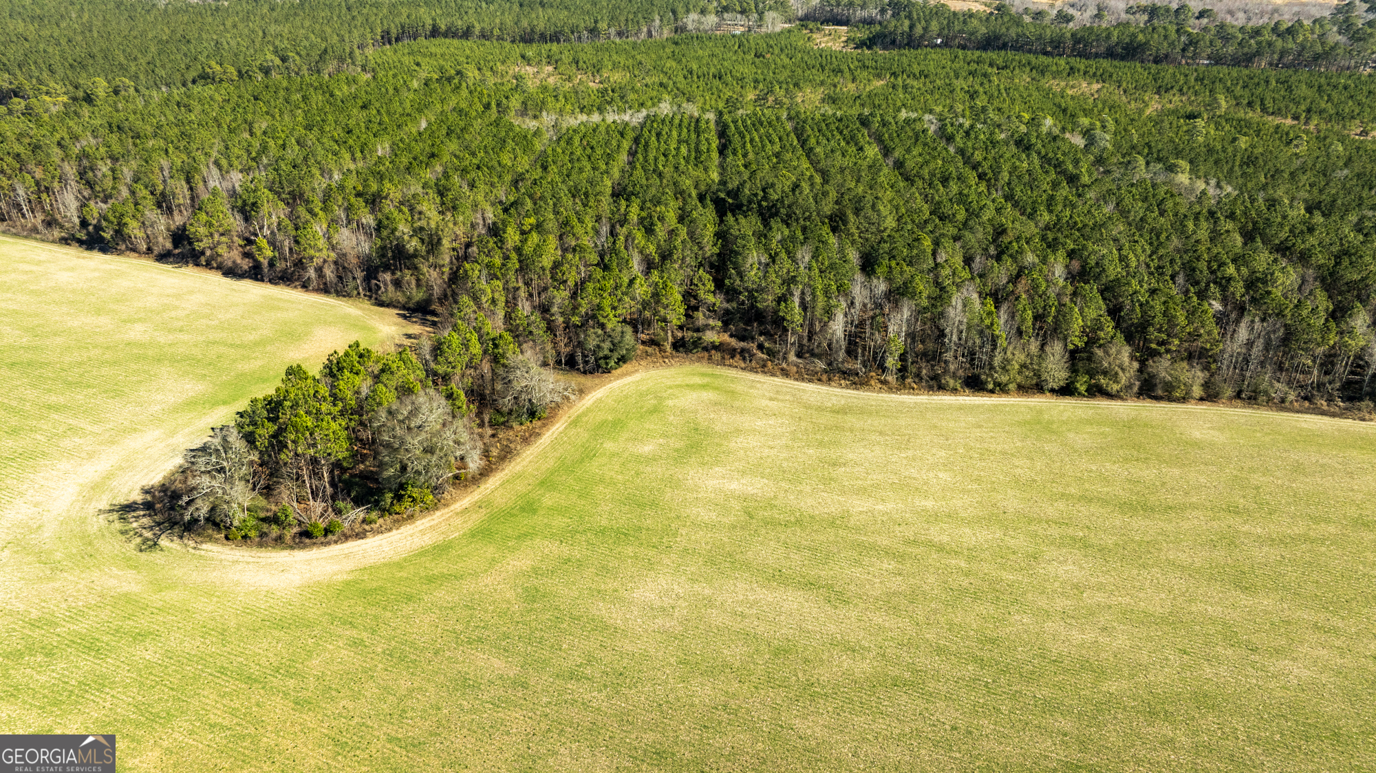 0 Sam Tillman Statesboro, GA 30458 - Photo 3 of 63