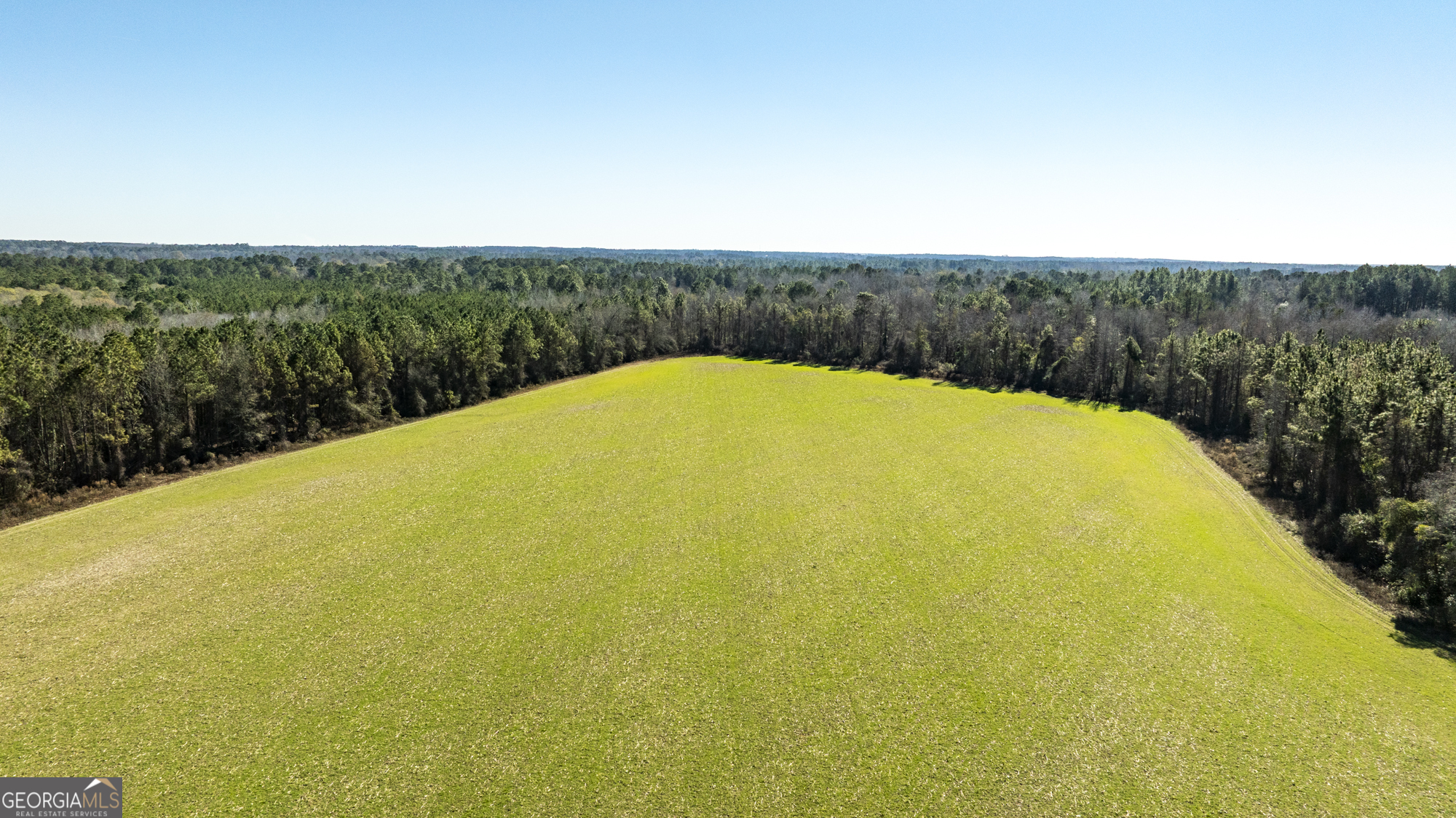 0 Sam Tillman Statesboro, GA 30458 - Photo 31 of 63