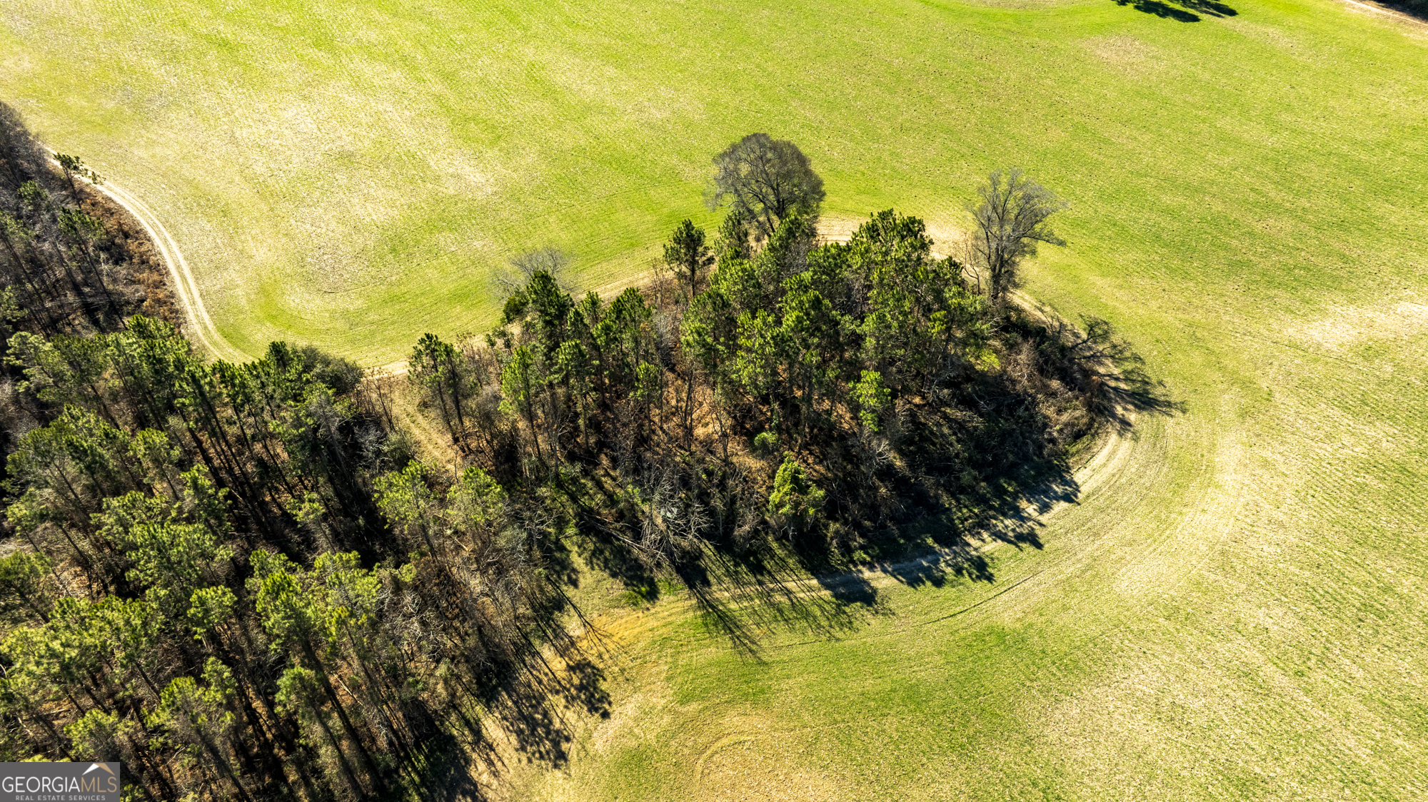 0 Sam Tillman Statesboro, GA 30458 - Photo 38 of 63