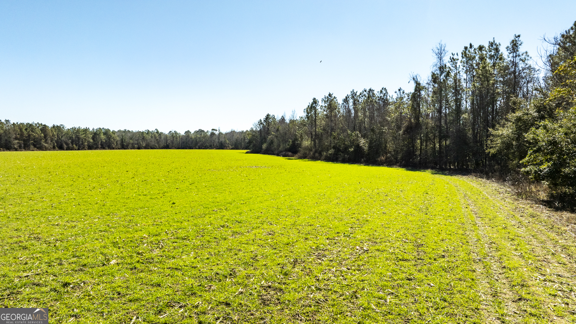 0 Sam Tillman Statesboro, GA 30458 - Photo 39 of 63