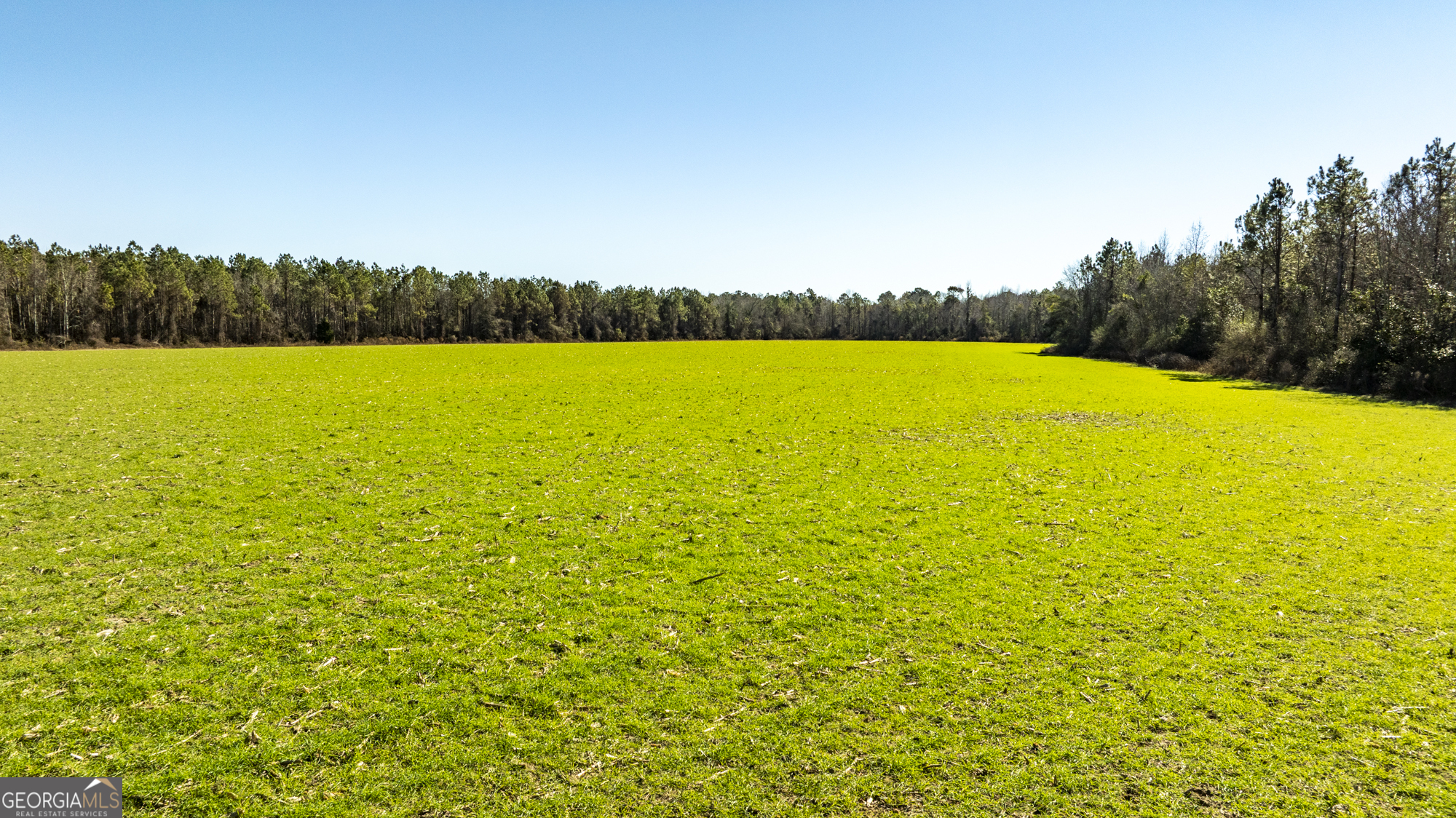 0 Sam Tillman Statesboro, GA 30458 - Photo 40 of 63