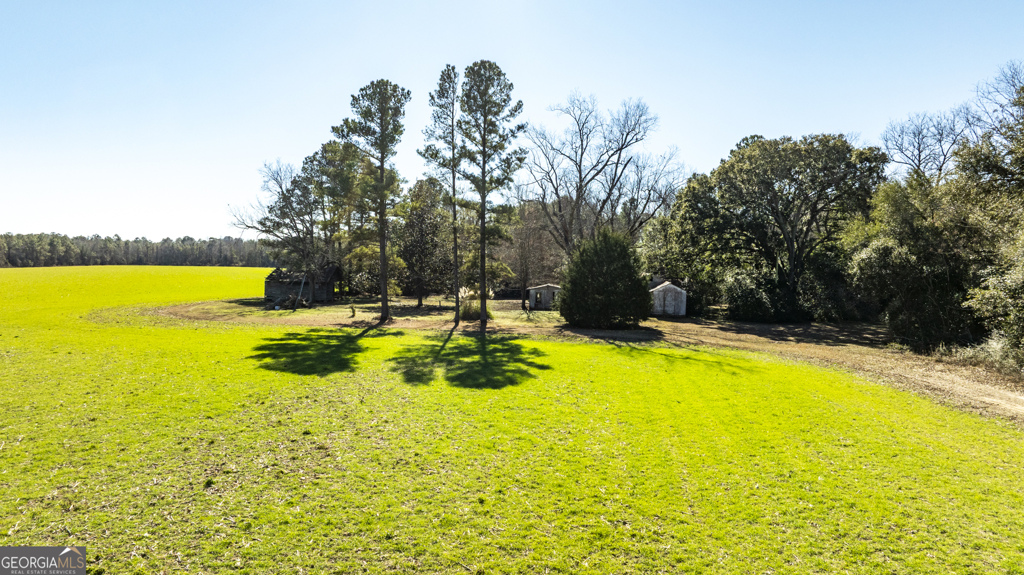 0 Sam Tillman Statesboro, GA 30458 - Photo 4 of 63