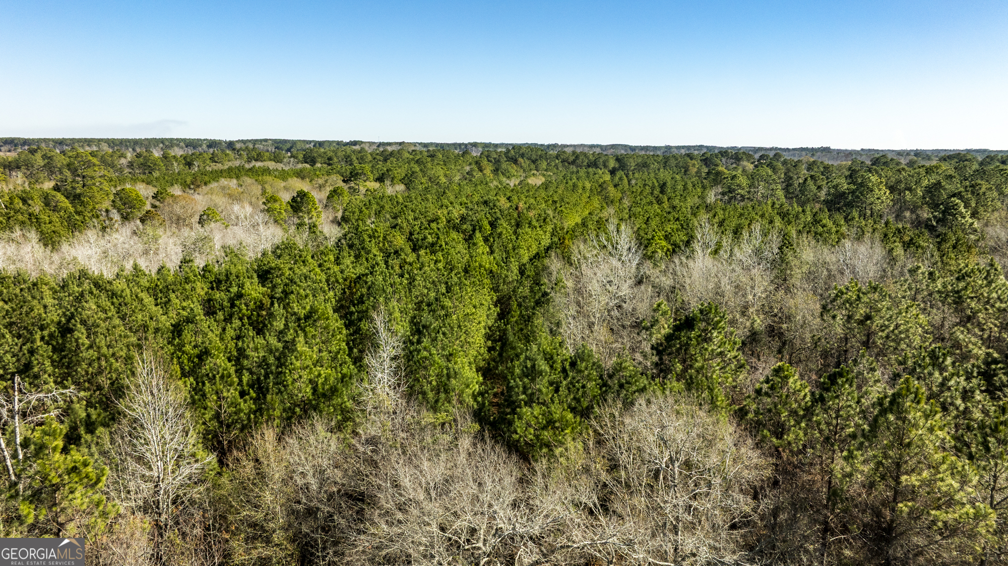 0 Sam Tillman Statesboro, GA 30458 - Photo 41 of 63