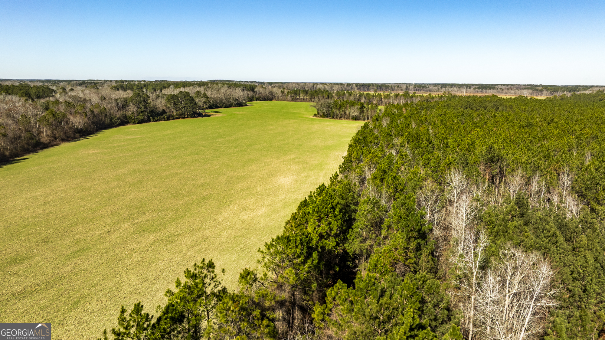 0 Sam Tillman Statesboro, GA 30458 - Photo 43 of 63