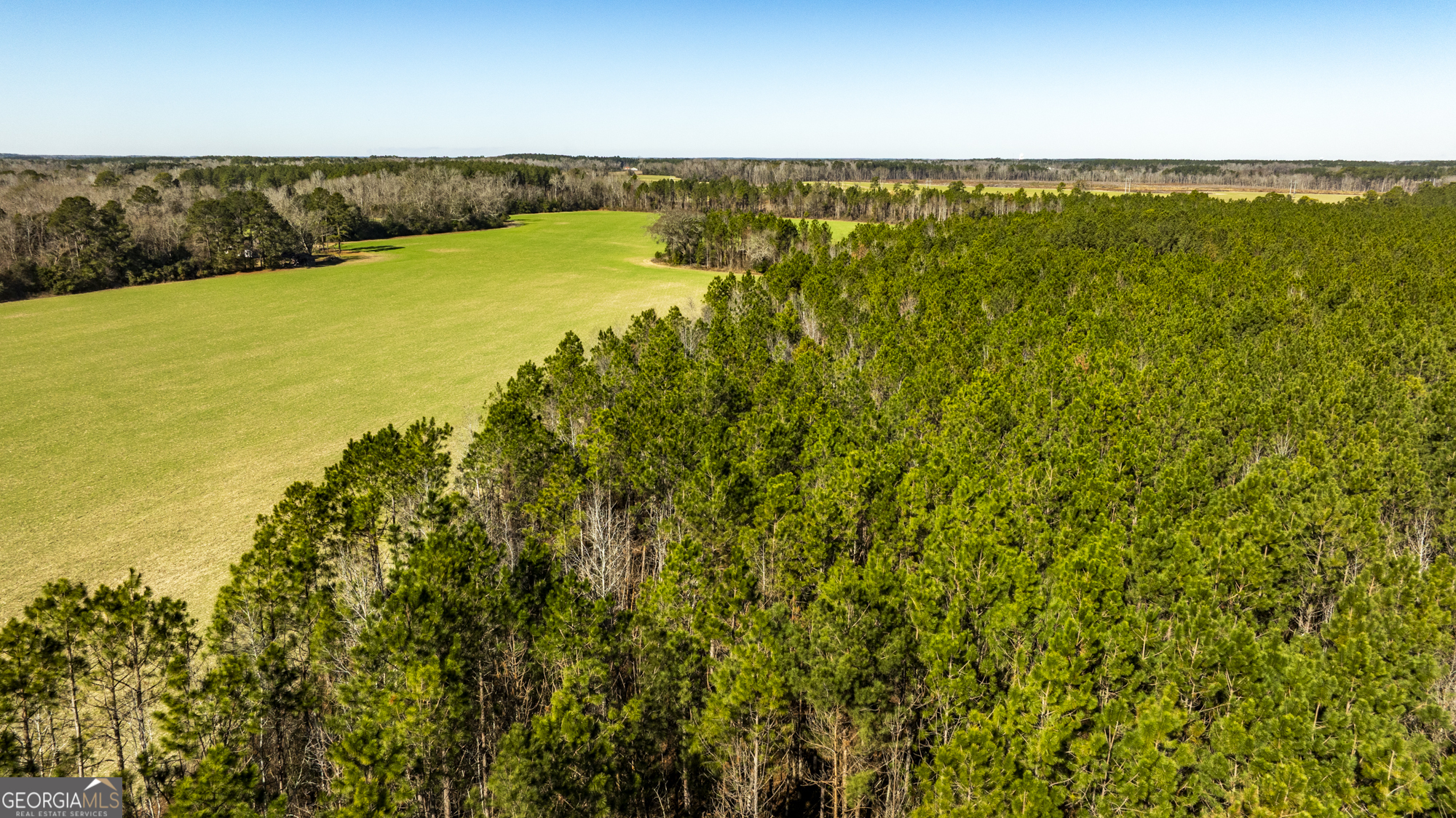 0 Sam Tillman Statesboro, GA 30458 - Photo 44 of 63