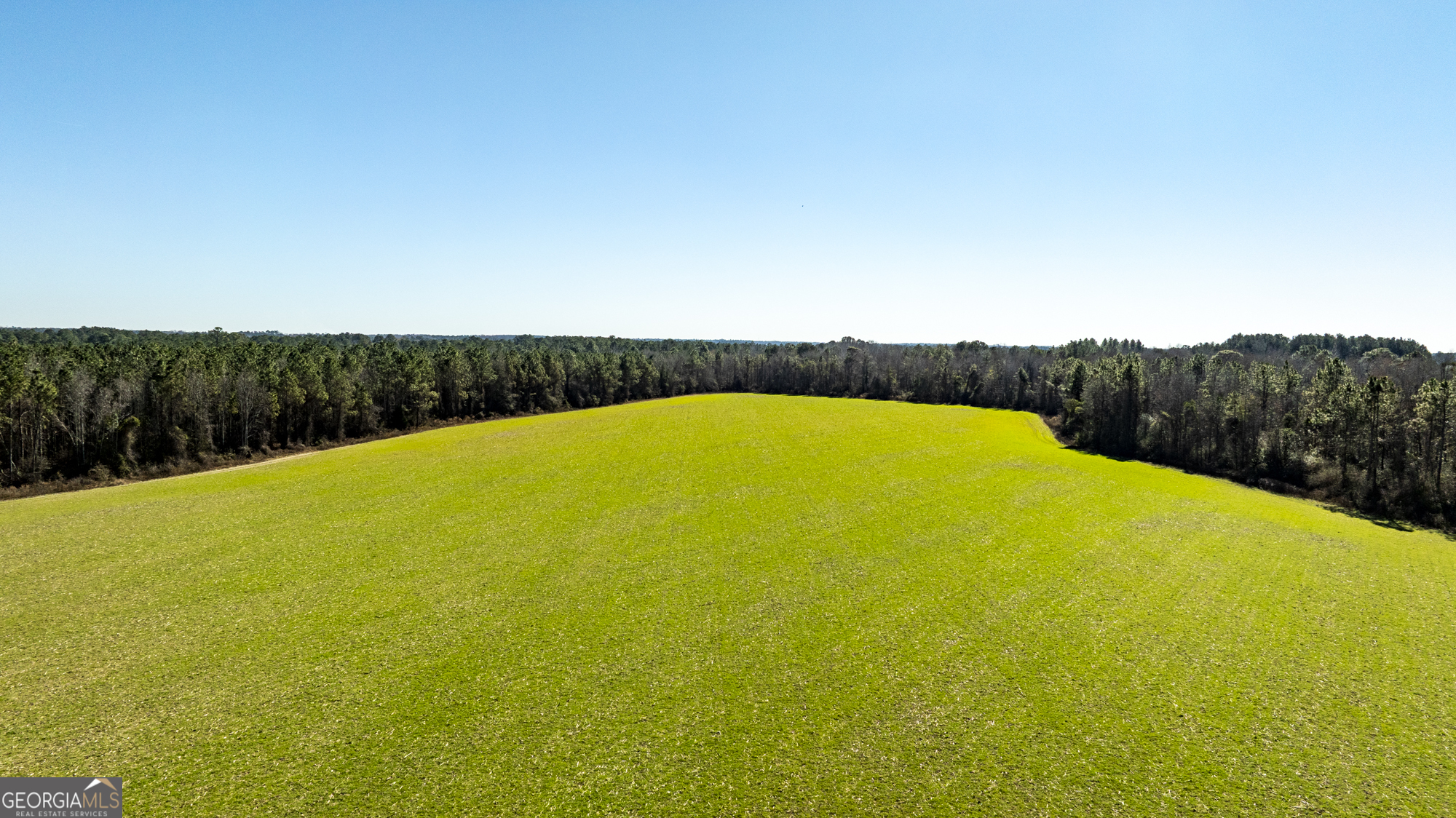 0 Sam Tillman Statesboro, GA 30458 - Photo 5 of 63