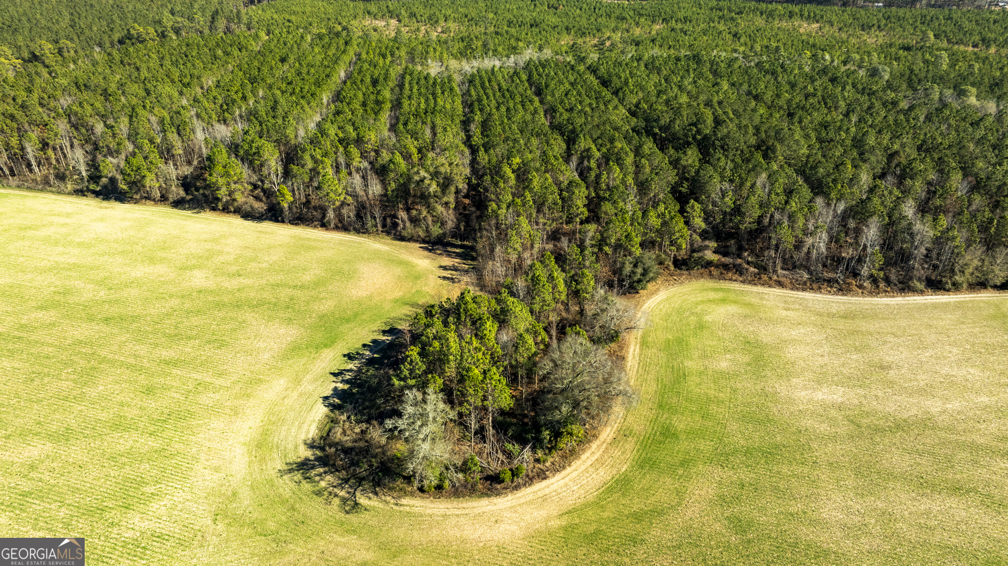 0 Sam Tillman Statesboro, GA 30458 - Photo 53 of 63