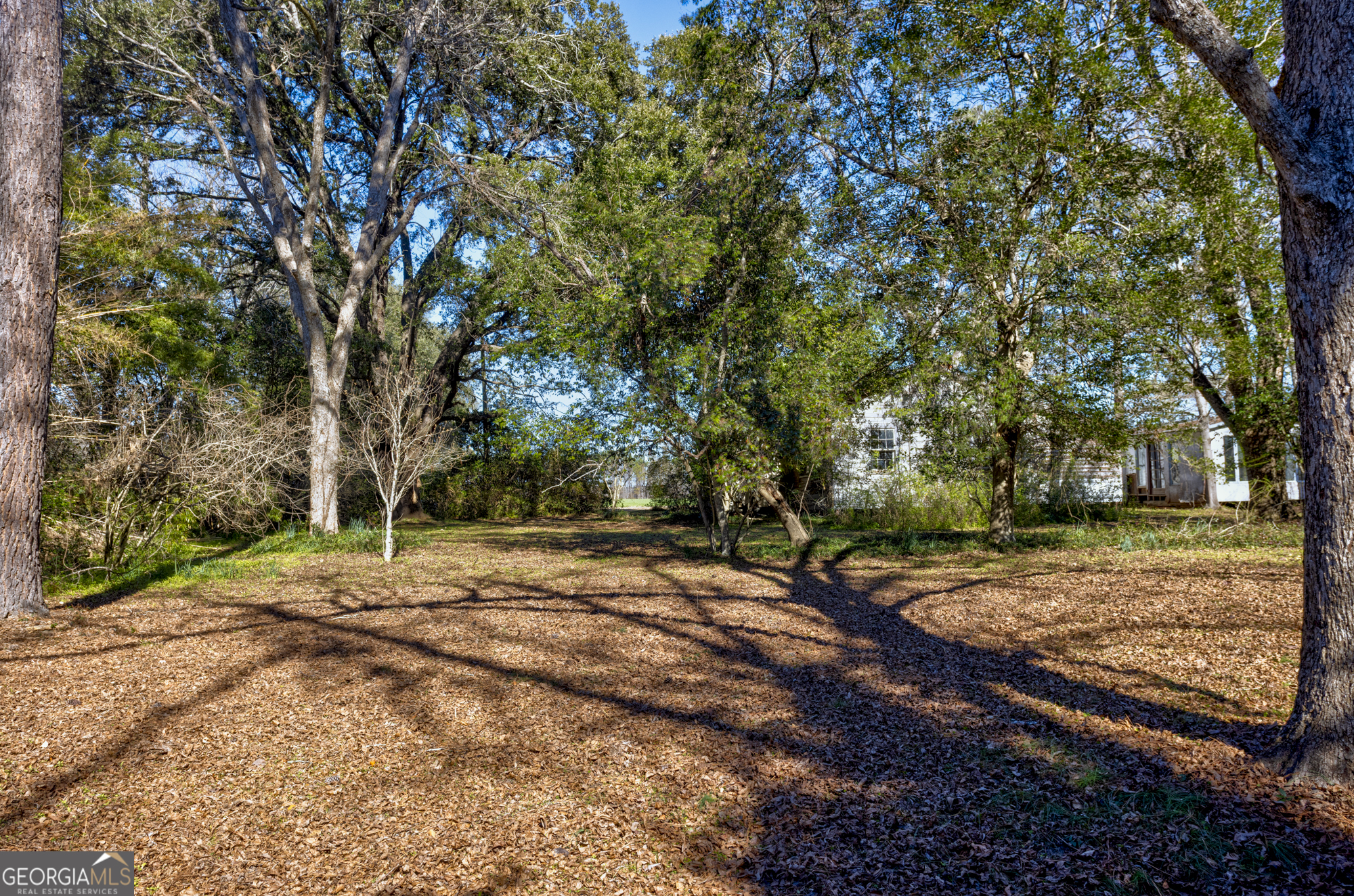 0 Sam Tillman Statesboro, GA 30458 - Photo 57 of 63