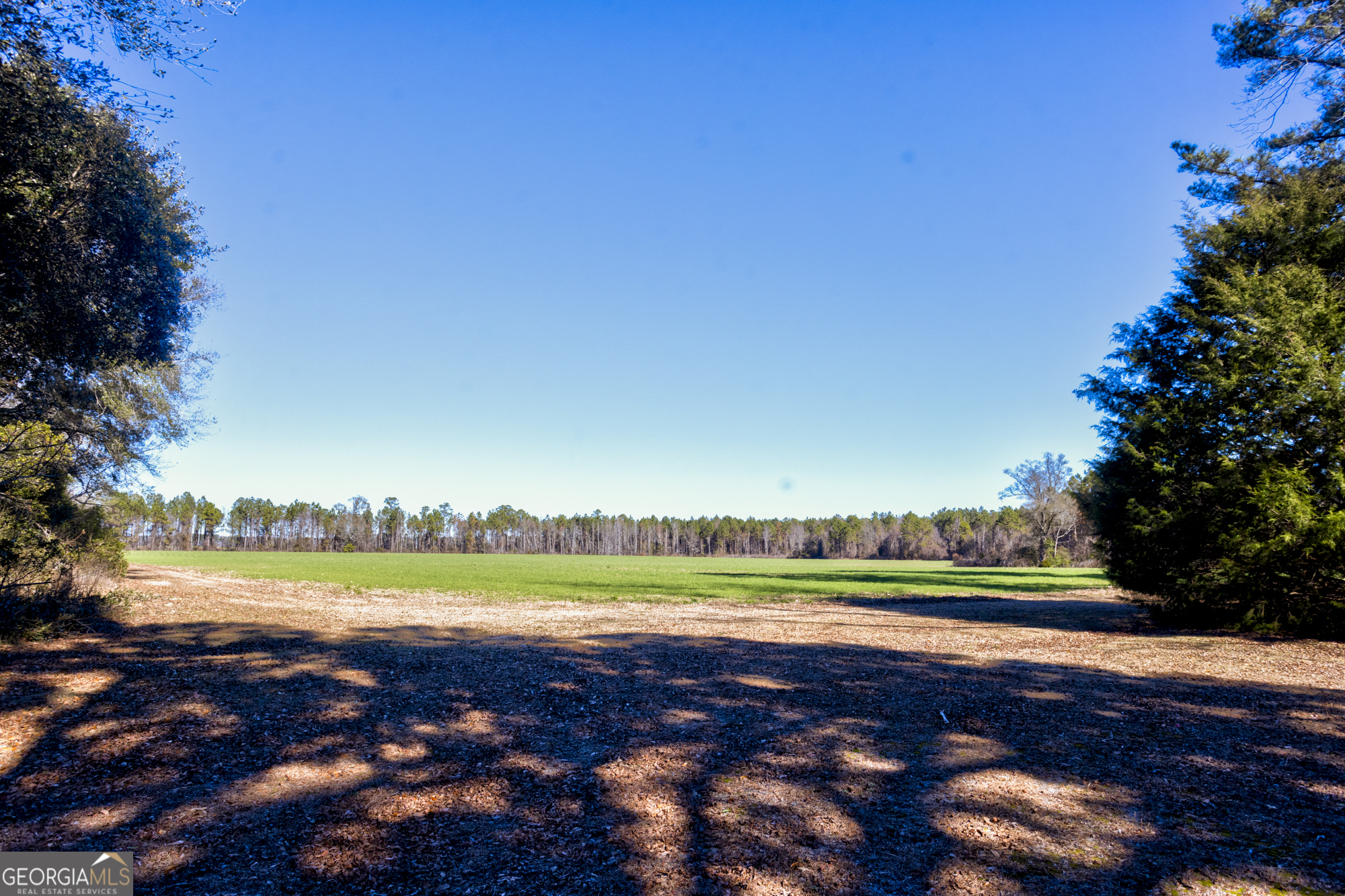 0 Sam Tillman Statesboro, GA 30458 - Photo 59 of 63