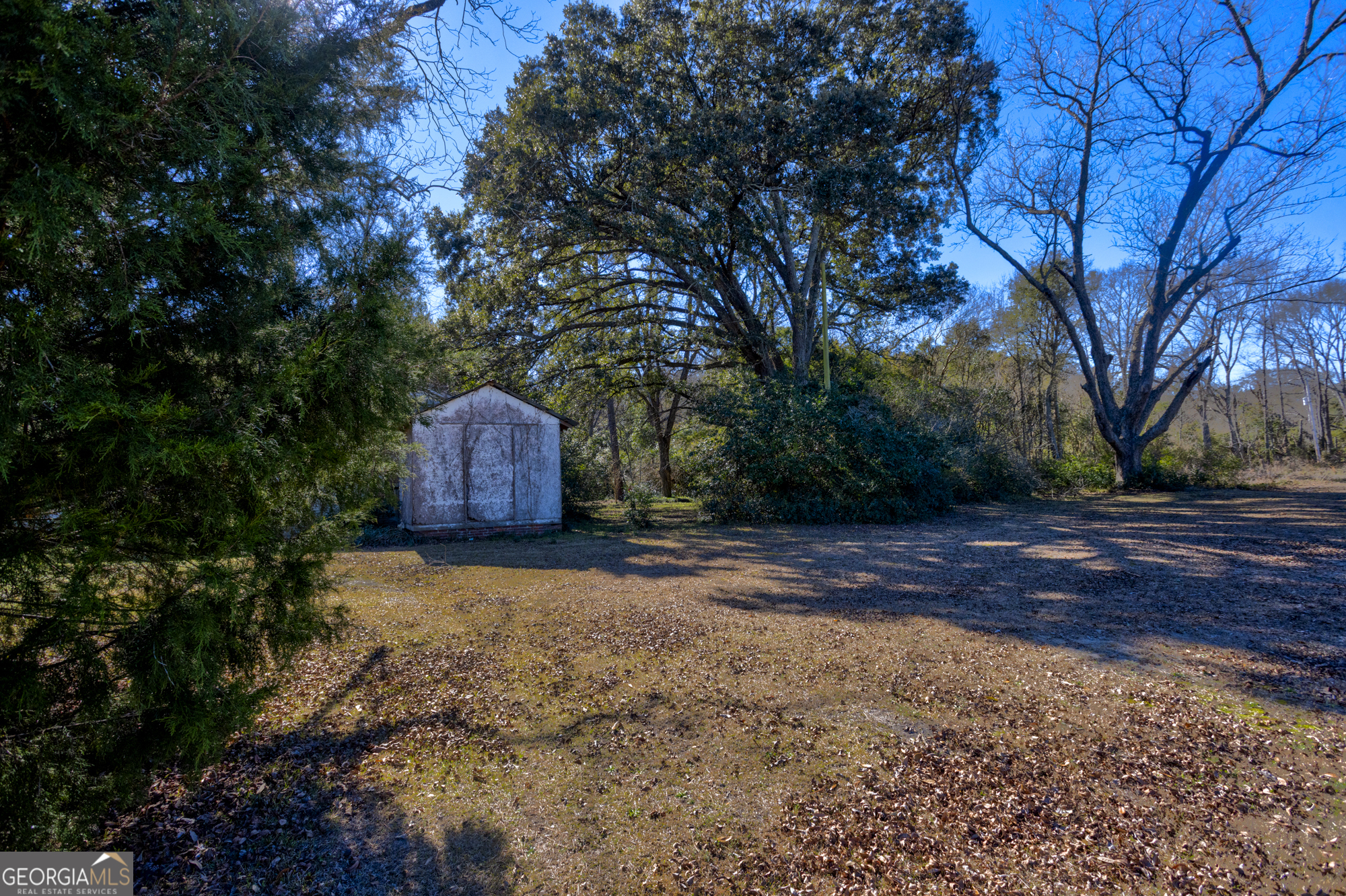 0 Sam Tillman Statesboro, GA 30458 - Photo 61 of 63