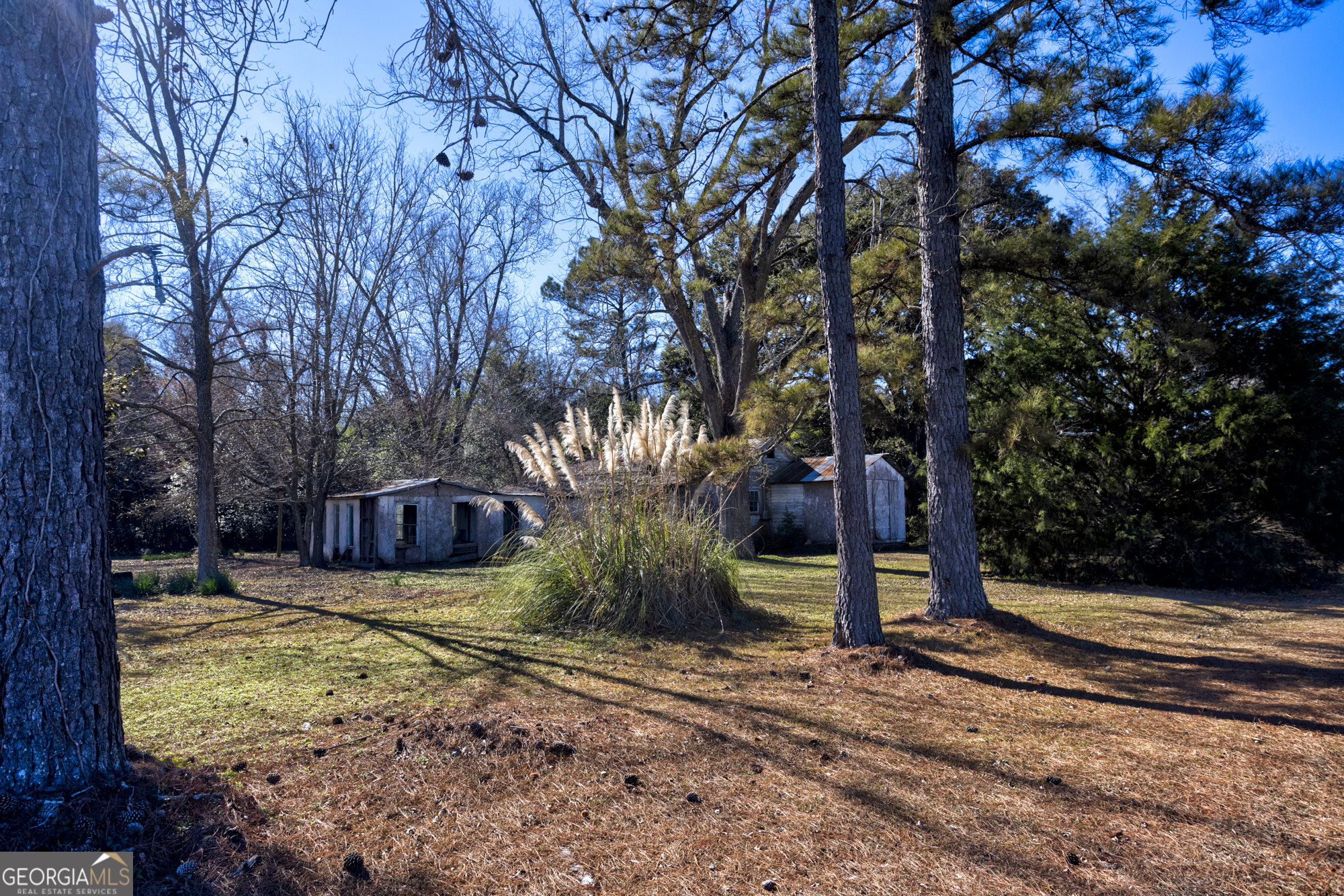 0 Sam Tillman Statesboro, GA 30458 - Photo 62 of 63