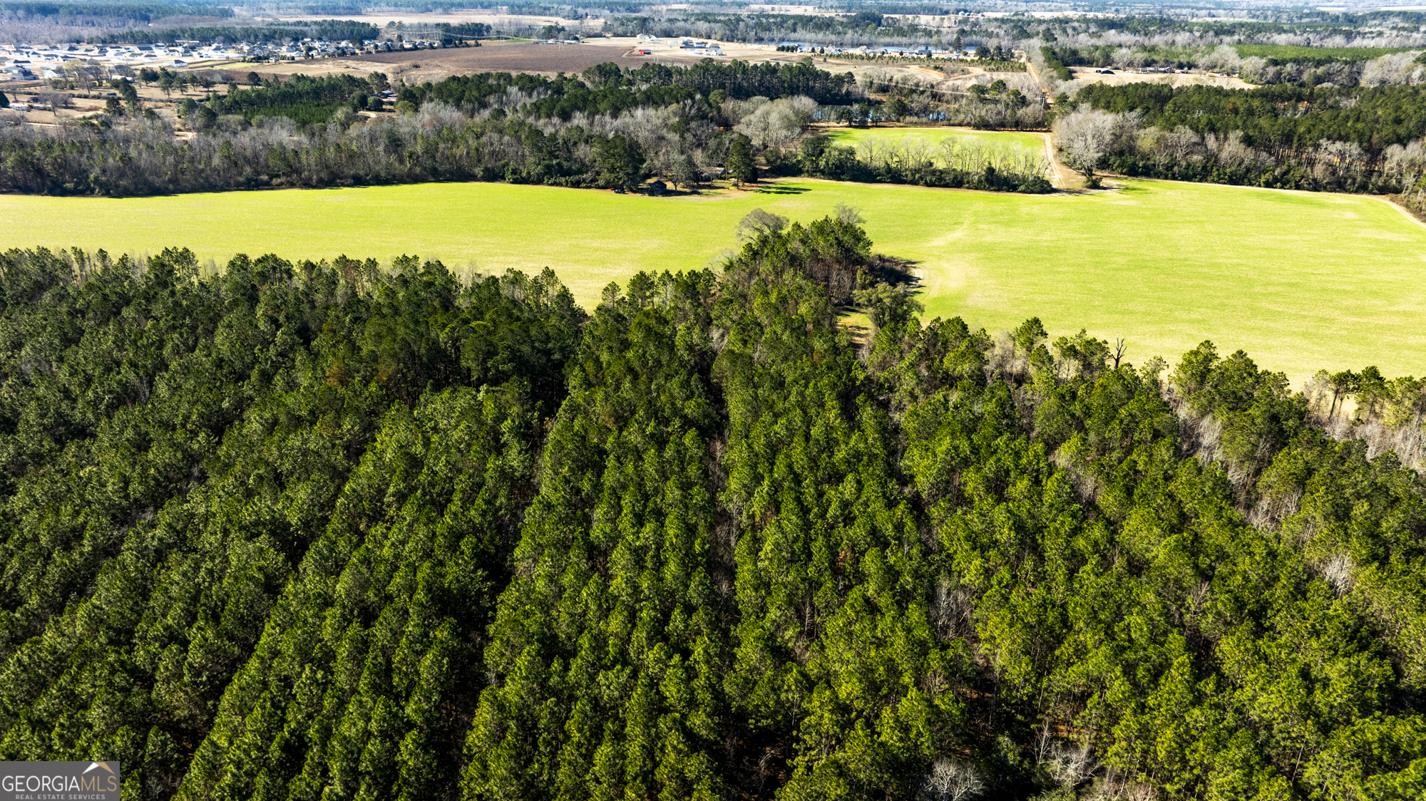 0 Sam Tillman Statesboro, GA 30458 - Photo 8 of 63