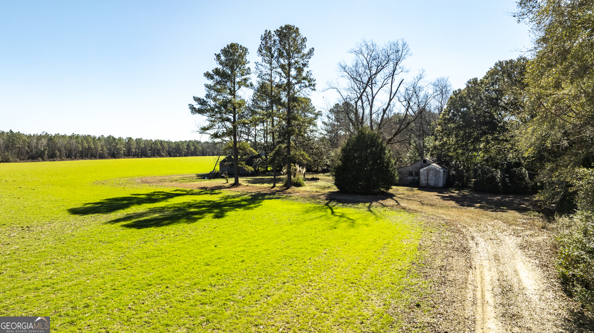 0 Sam Tillman Statesboro, GA 30458 - Photo 9 of 63