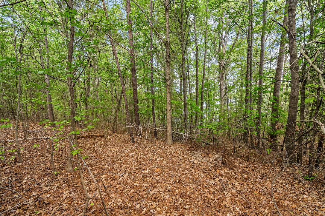 467 Overlook Drive Fair Play, SC 29643 - Photo 10 of 24