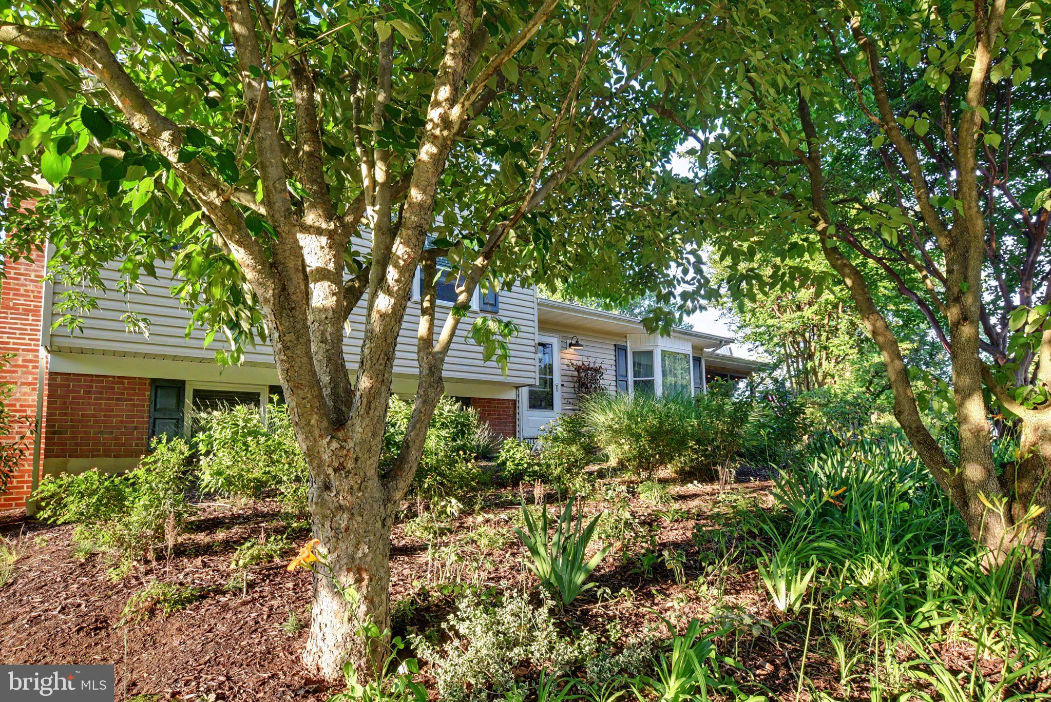 422 Porpoise Lane Riva, MD 21140 - Photo 48 of 50