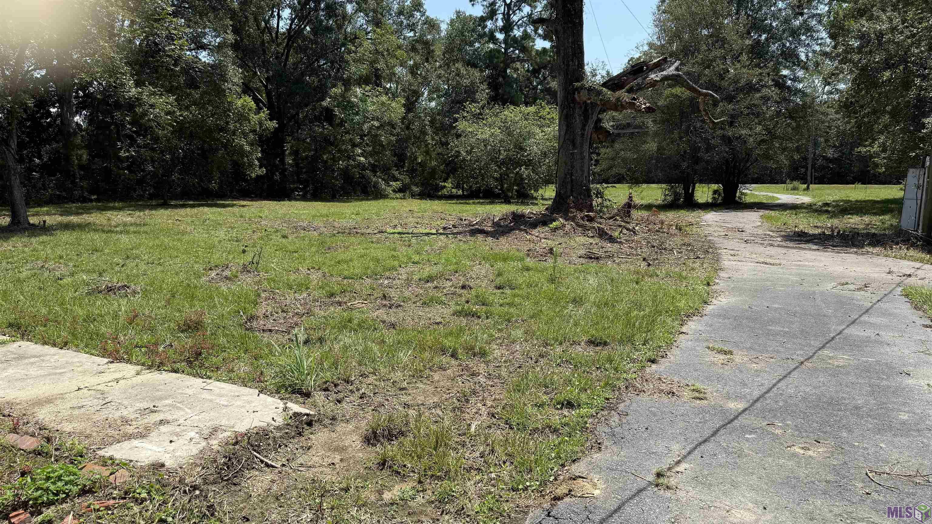 15709 Denham Road Central, LA 70770 - Photo 26 of 27 front yard
